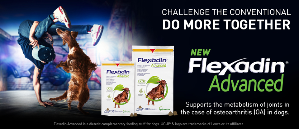 New Flexadin Advanced